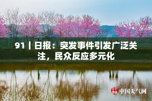 91丨日报：突发事件引发广泛关注，民众反应多元化