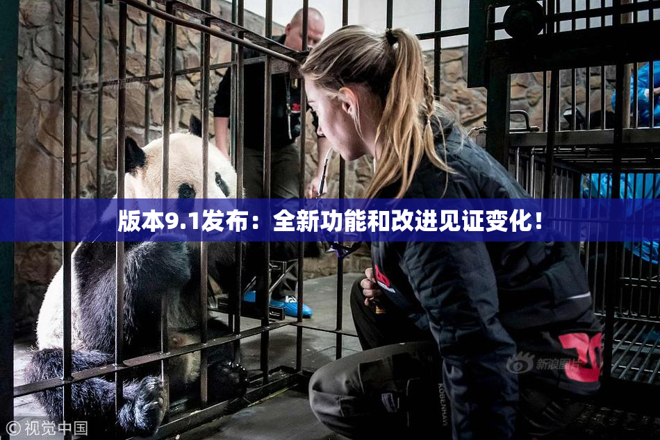 版本9.1发布：全新功能和改进见证变化！
