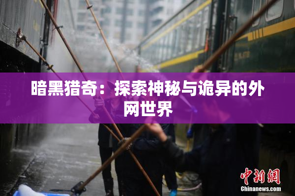 暗黑猎奇：探索神秘与诡异的外网世界
