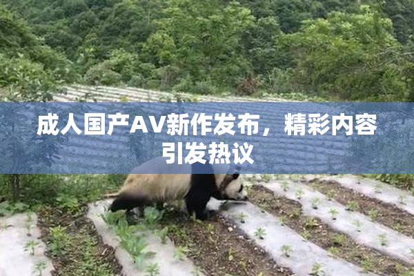 成人国产AV新作发布，精彩内容引发热议