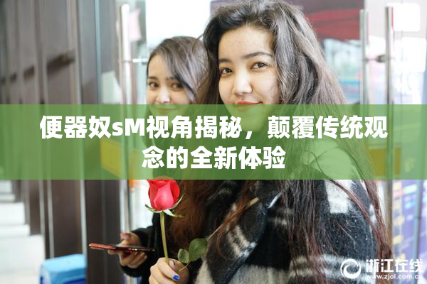 便器奴sM视角揭秘，颠覆传统观念的全新体验