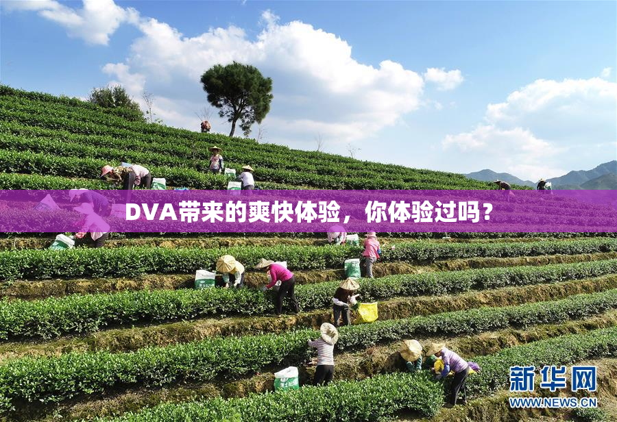 DVA带来的爽快体验，你体验过吗？