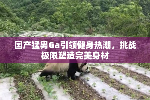 国产猛男Ga引领健身热潮，挑战极限塑造完美身材