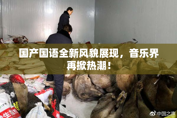 国产国语全新风貌展现，音乐界再掀热潮！