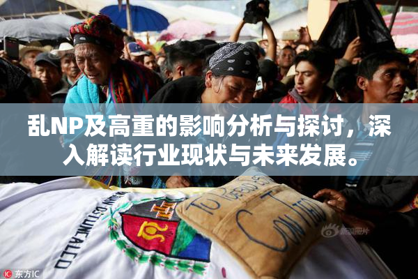 乱NP及高重的影响分析与探讨，深入解读行业现状与未来发展。