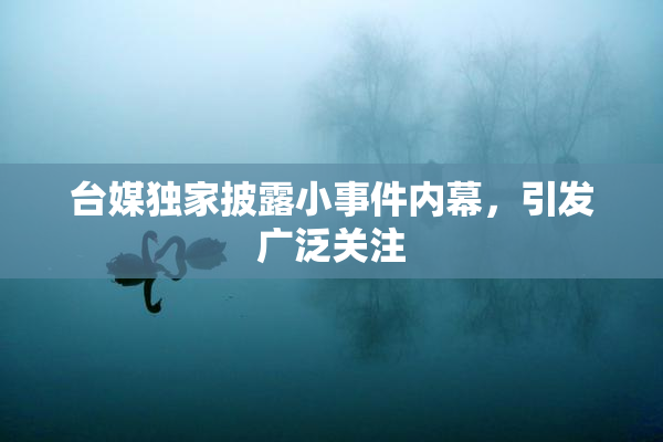 台媒独家披露小事件内幕，引发广泛关注