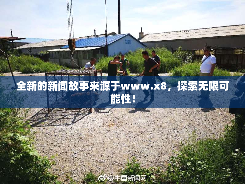 全新的新闻故事来源于www.x8，探索无限可能性！