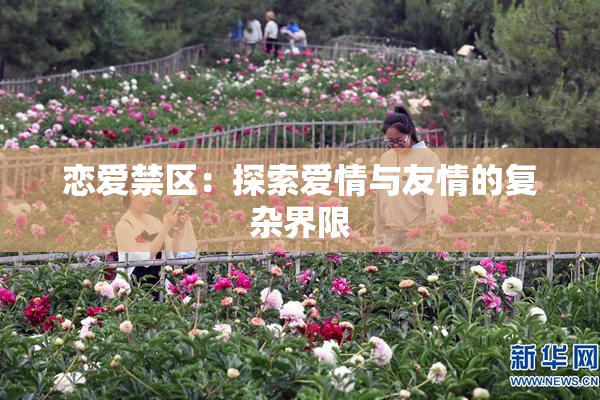 恋爱禁区：探索爱情与友情的复杂界限