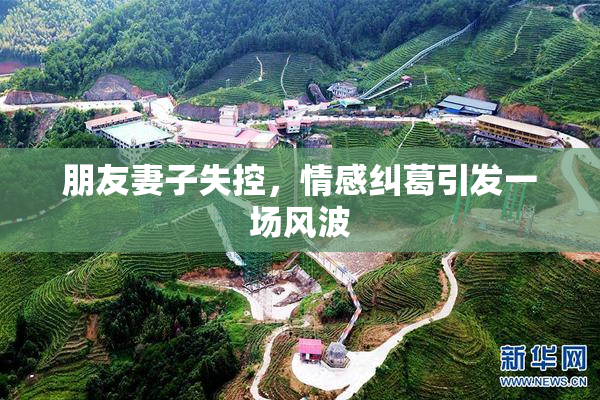 朋友妻子失控，情感纠葛引发一场风波