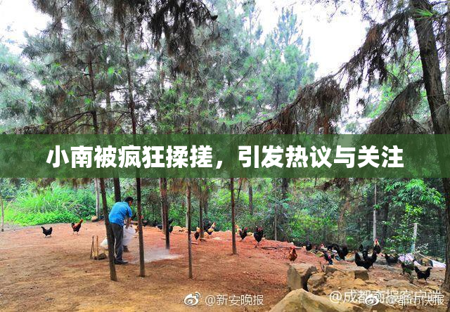 小南被疯狂揉搓，引发热议与关注