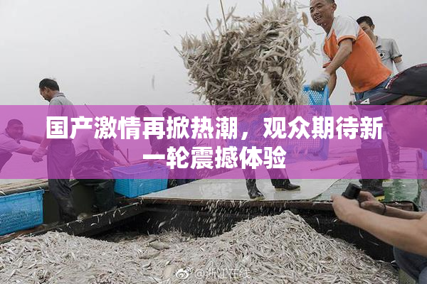 国产激情再掀热潮，观众期待新一轮震撼体验
