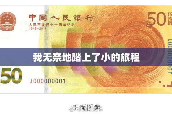 我无奈地踏上了小的旅程