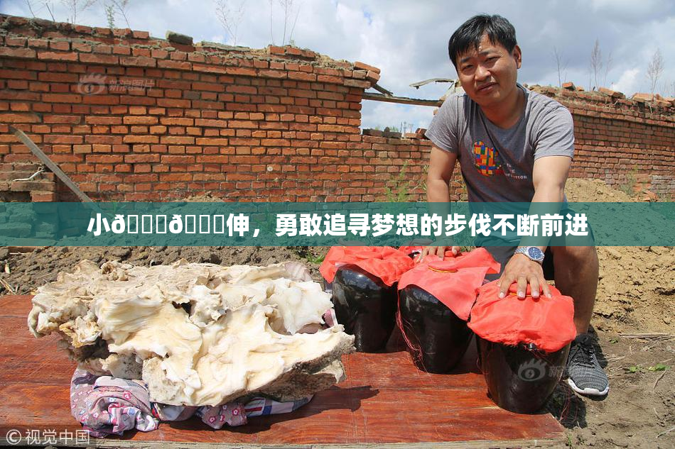 小🐔🐔伸，勇敢追寻梦想的步伐不断前进