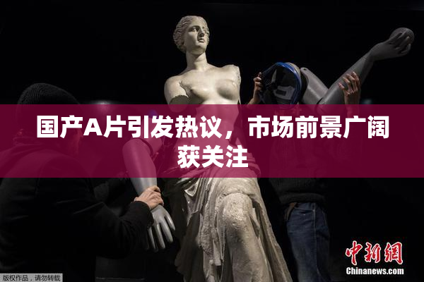 国产A片引发热议，市场前景广阔获关注