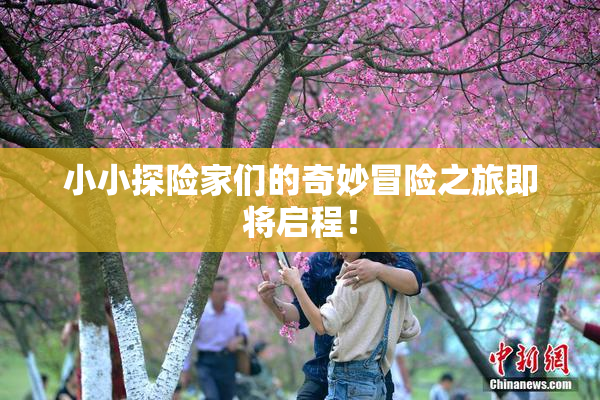 小小探险家们的奇妙冒险之旅即将启程！
