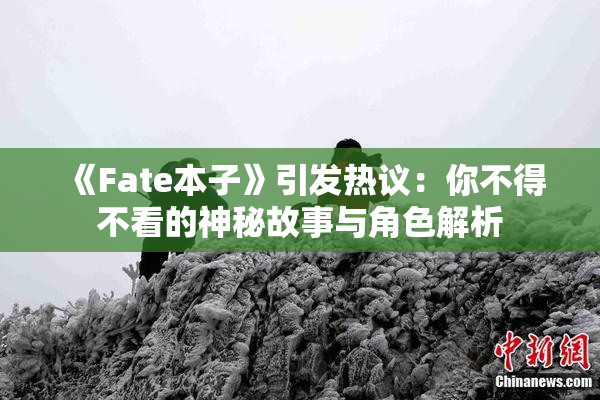 《Fate本子》引发热议：你不得不看的神秘故事与角色解析