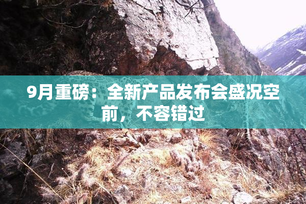 9月重磅：全新产品发布会盛况空前，不容错过