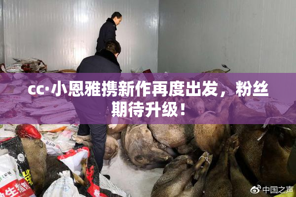 cc·小恩雅携新作再度出发，粉丝期待升级！