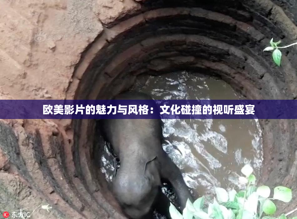 欧美影片的魅力与风格：文化碰撞的视听盛宴