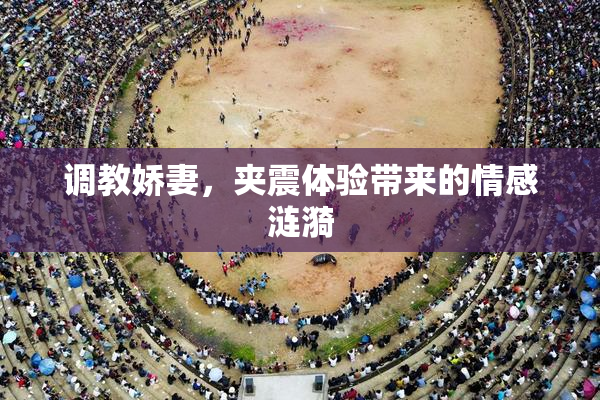 调教娇妻，夹震体验带来的情感涟漪