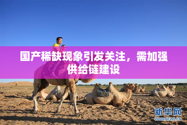 国产稀缺现象引发关注，需加强供给链建设