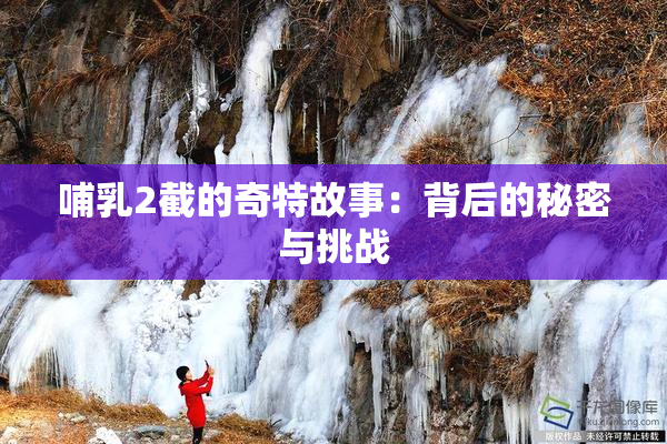 哺乳2截的奇特故事：背后的秘密与挑战