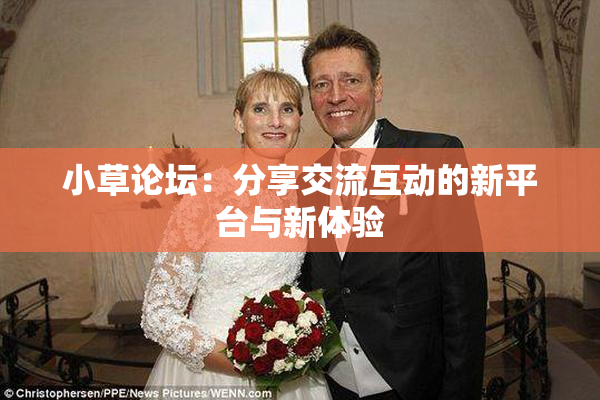 小草论坛：分享交流互动的新平台与新体验