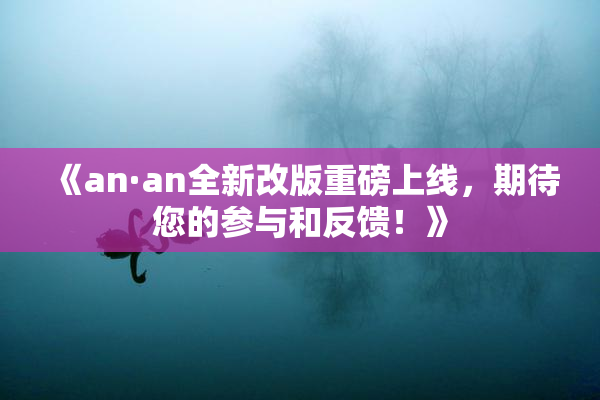 《an·an全新改版重磅上线，期待您的参与和反馈！》