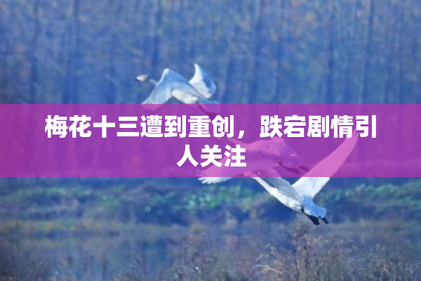 梅花十三遭到重创，跌宕剧情引人关注