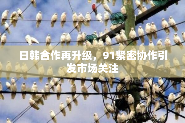 日韩合作再升级，91紧密协作引发市场关注
