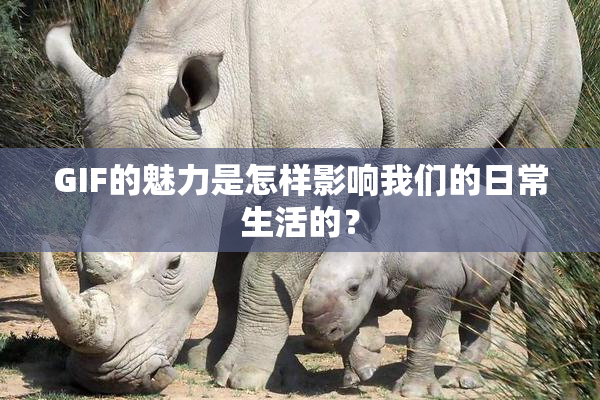 GIF的魅力是怎样影响我们的日常生活的？