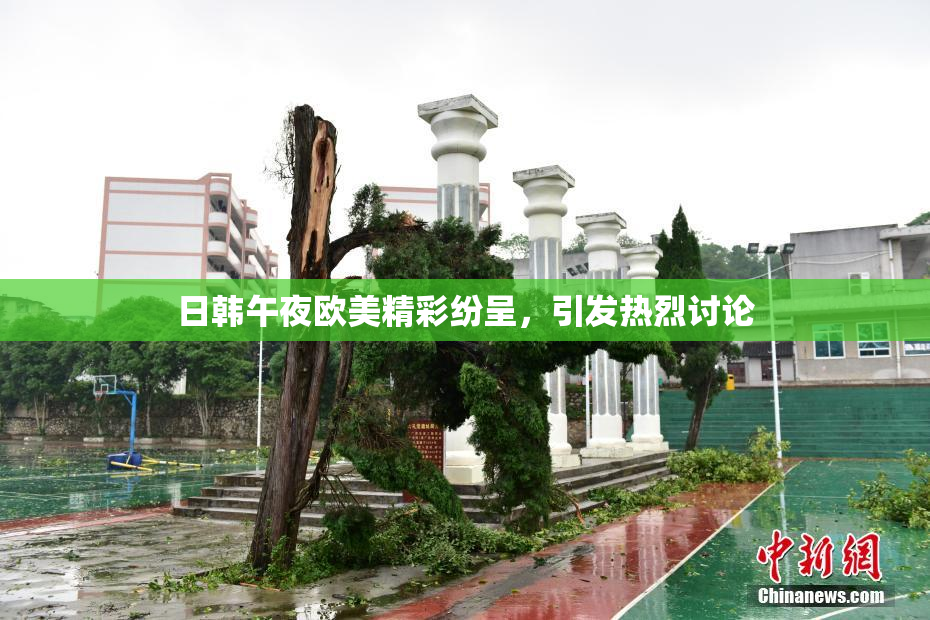 日韩午夜欧美精彩纷呈，引发热烈讨论