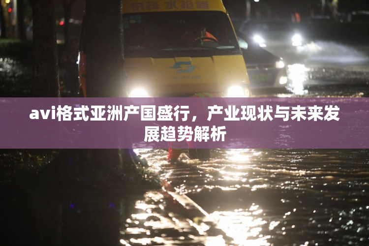 avi格式亚洲产国盛行，产业现状与未来发展趋势解析