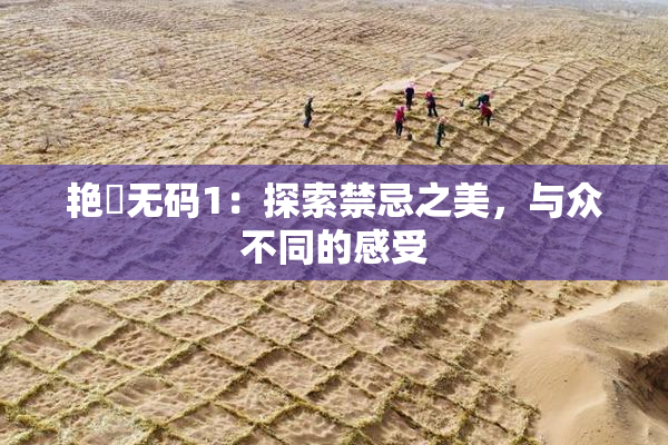 艳鉧无码1：探索禁忌之美，与众不同的感受