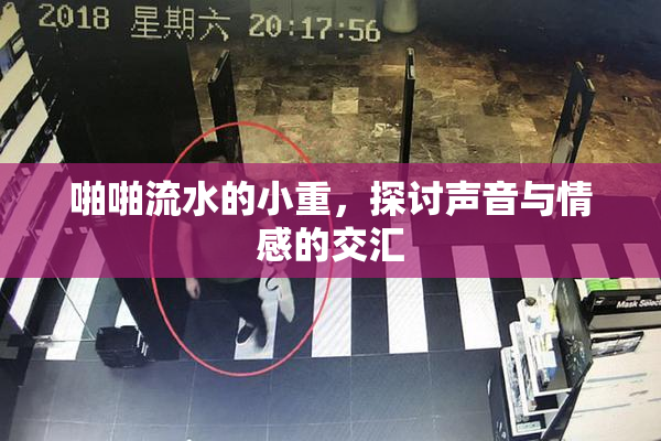 啪啪流水的小重，探讨声音与情感的交汇