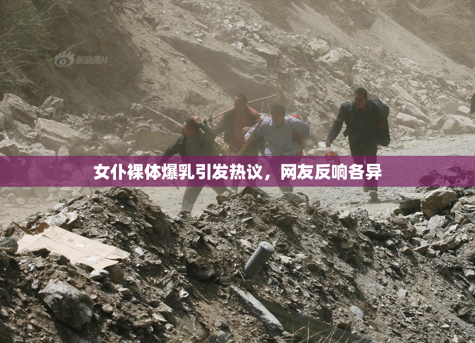 女仆裸体爆乳引发热议，网友反响各异