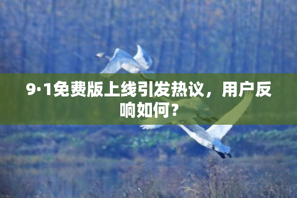 9·1免费版上线引发热议，用户反响如何？
