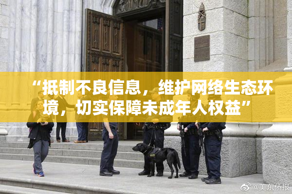 “抵制不良信息，维护网络生态环境，切实保障未成年人权益”