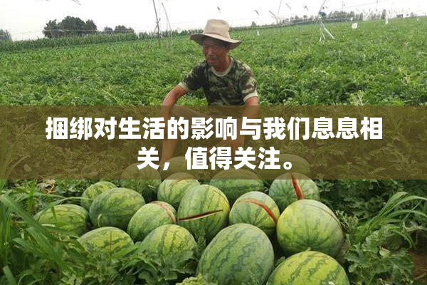 捆绑对生活的影响与我们息息相关，值得关注。