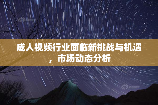 成人视频行业面临新挑战与机遇，市场动态分析
