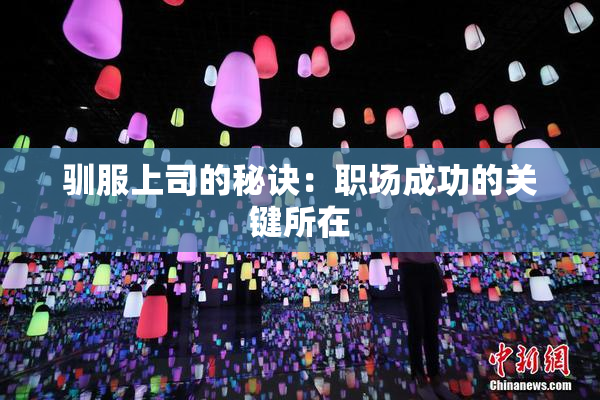 驯服上司的秘诀：职场成功的关键所在