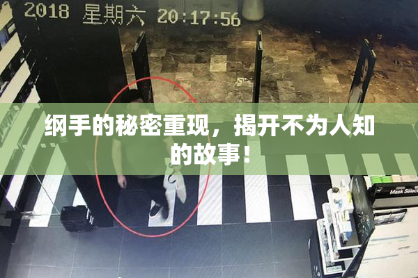 纲手的秘密重现，揭开不为人知的故事！