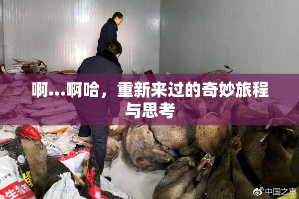 啊…啊哈，重新来过的奇妙旅程与思考