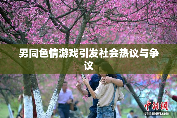 男同色情游戏引发社会热议与争议