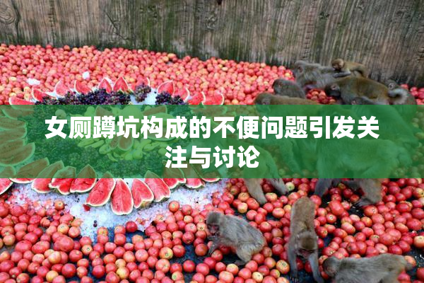 女厕蹲坑构成的不便问题引发关注与讨论