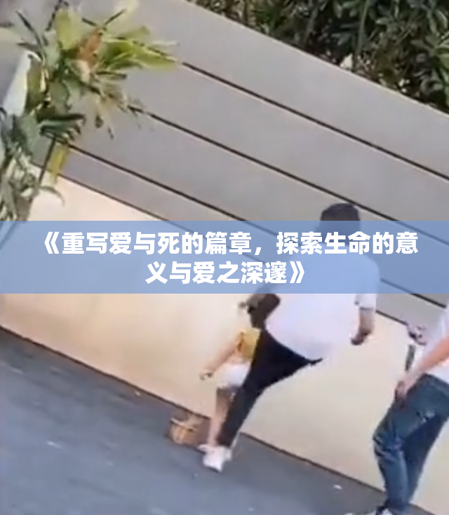 《重写爱与死的篇章，探索生命的意义与爱之深邃》