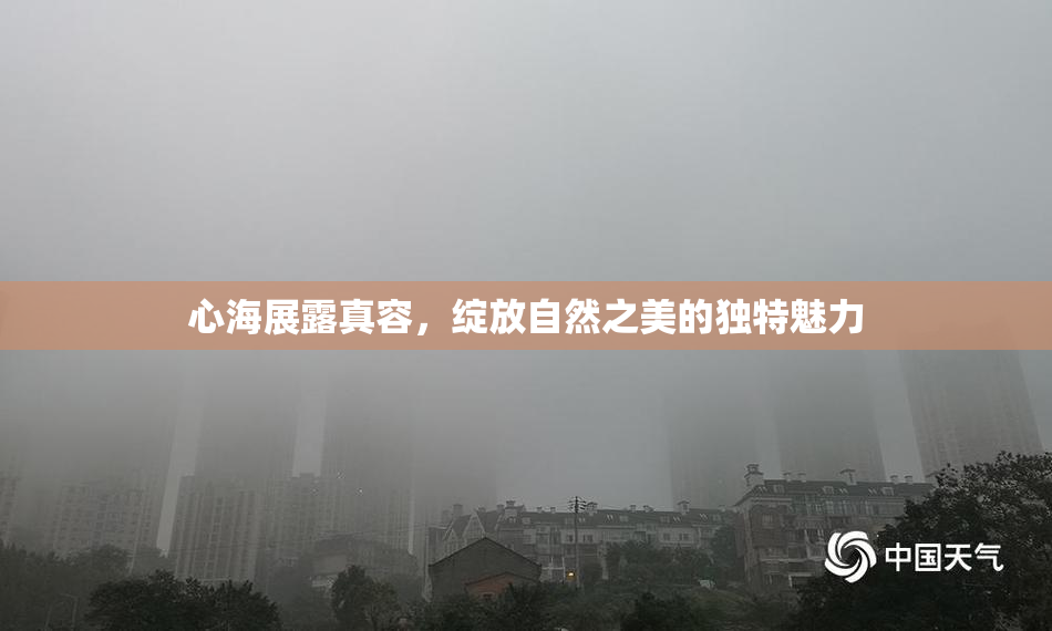 心海展露真容，绽放自然之美的独特魅力