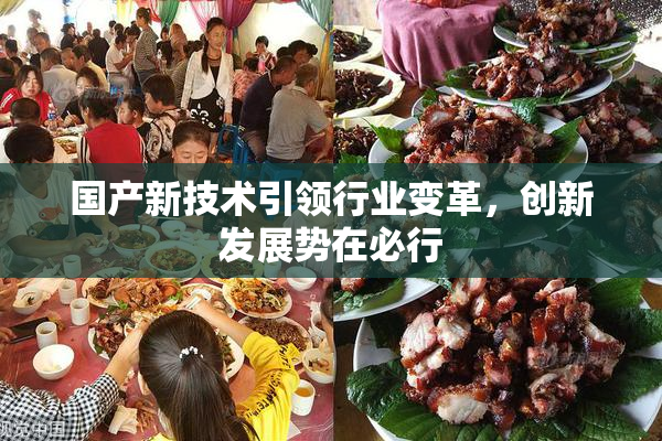 国产新技术引领行业变革，创新发展势在必行