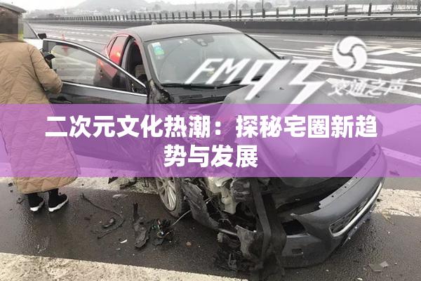 二次元文化热潮：探秘宅圈新趋势与发展