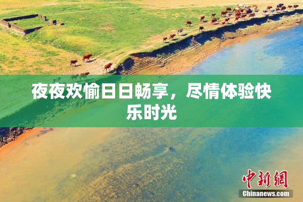 夜夜欢愉日日畅享，尽情体验快乐时光